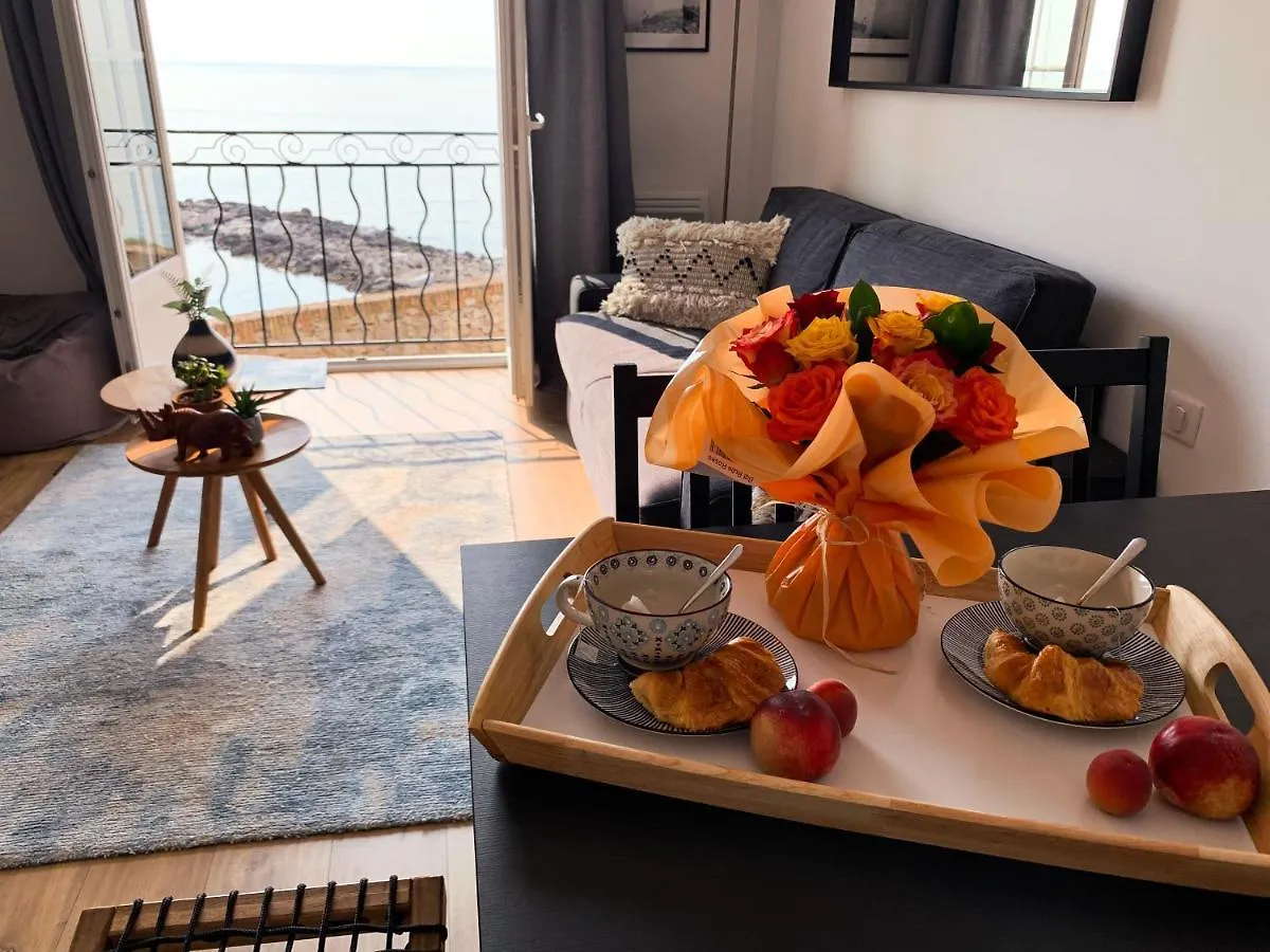 Amazing Renovated Flat Sea Front Old Town Antibes Apartment